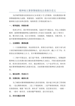 精神病人肇事肇祸情况自查报告范文