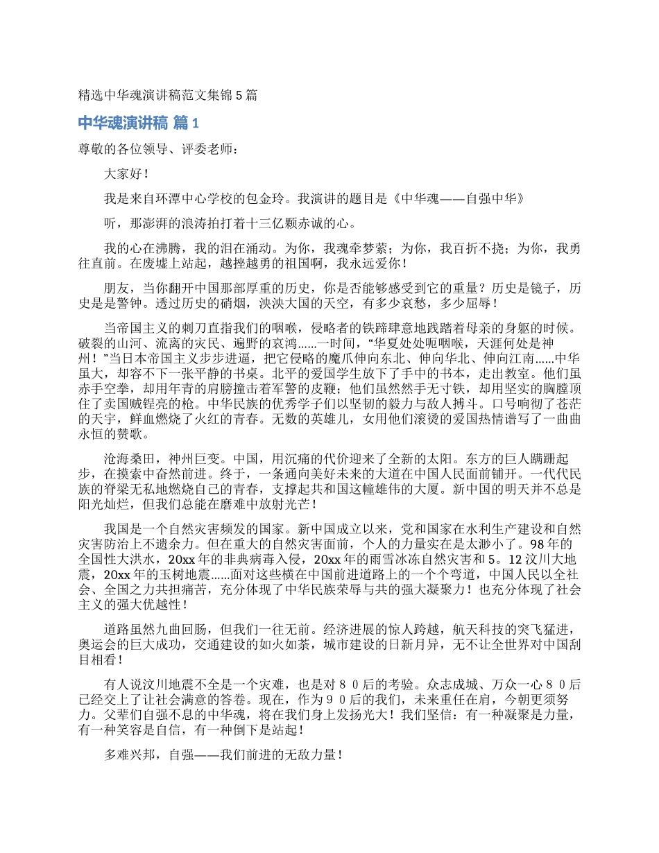 精选中华魂演讲稿范文集锦5篇_第1页