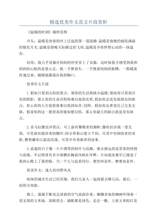 精选优美作文范文片段赏析