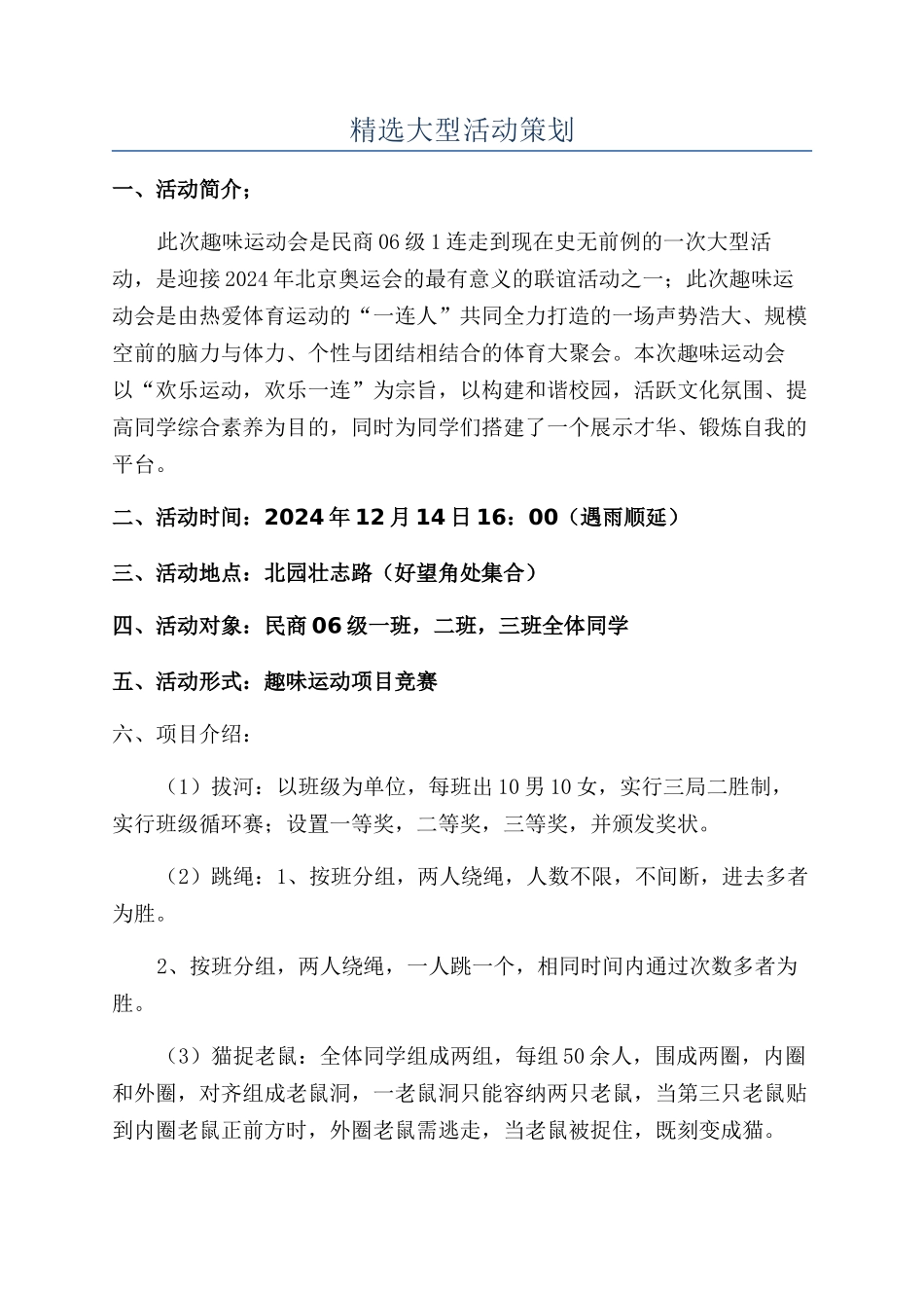 精选大型活动策划_第1页