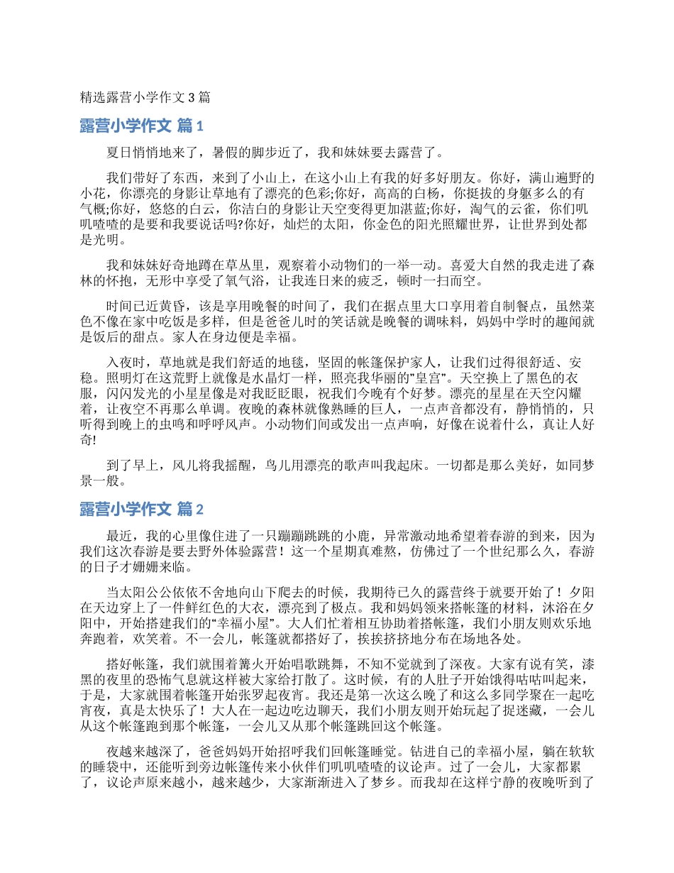 精选露营小学作文3篇_第1页