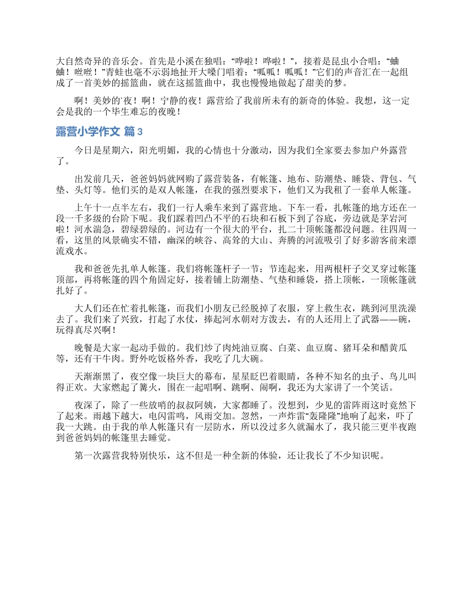 精选露营小学作文3篇_第2页