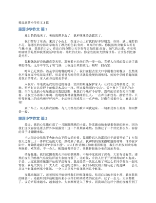 精选露营小学作文3篇