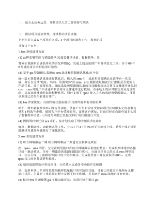 系统开发科工作总结及下半年工作计划