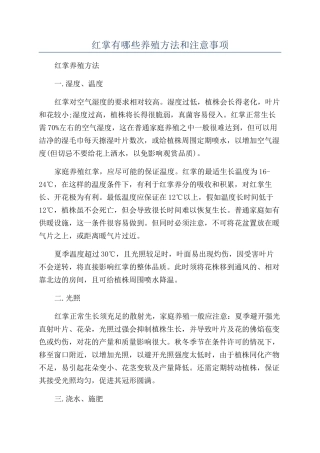 红掌有哪些养殖方法和注意事项