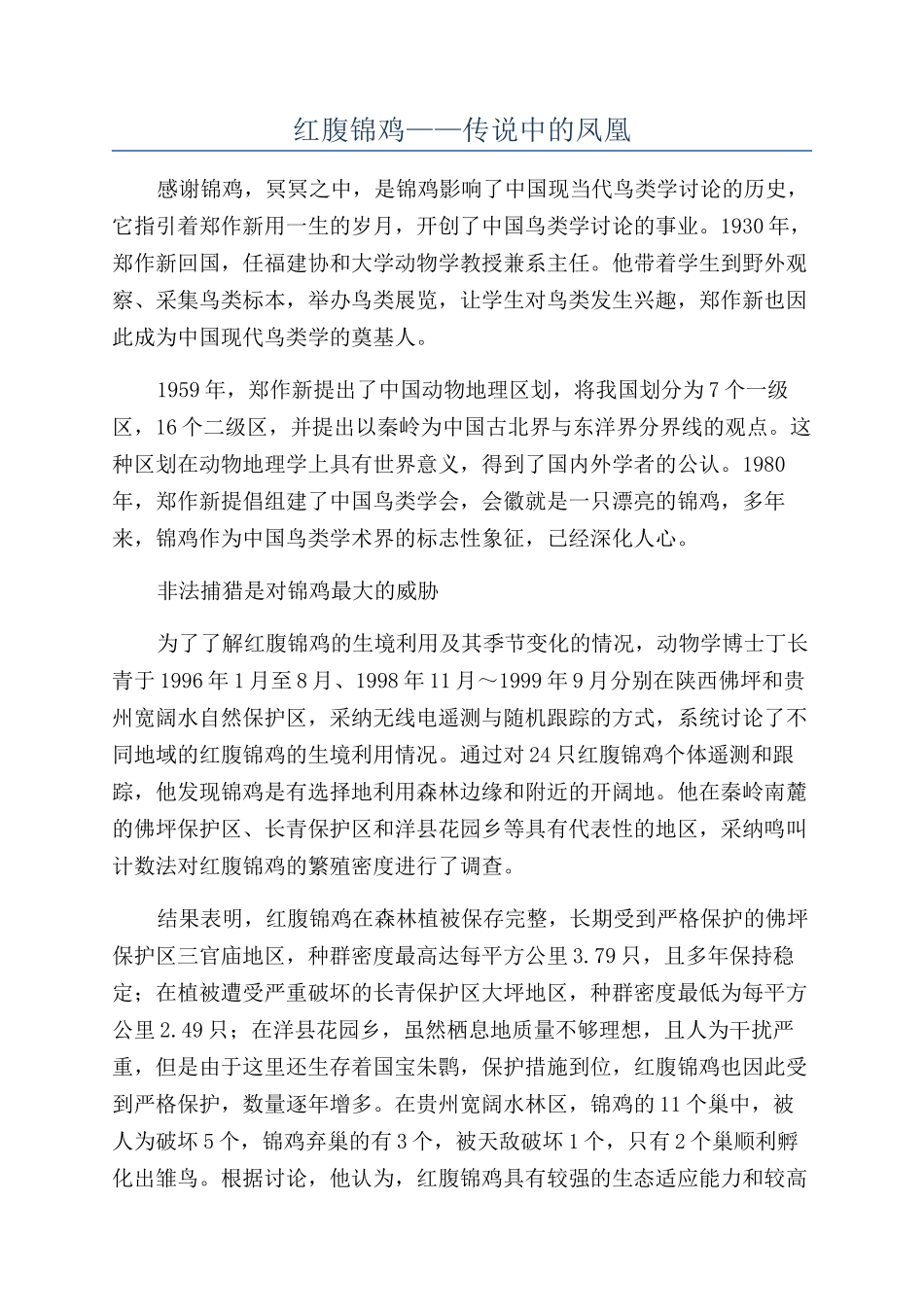 红腹锦鸡——传说中的凤凰_第1页