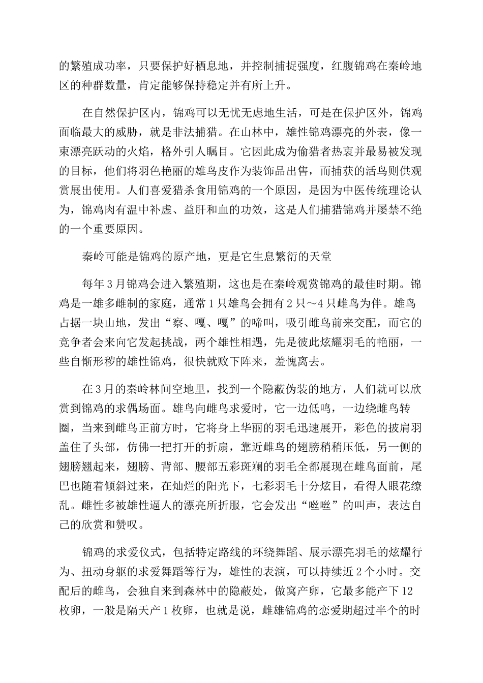 红腹锦鸡——传说中的凤凰_第2页