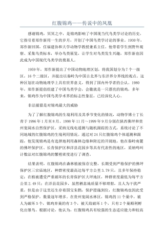 红腹锦鸡——传说中的凤凰