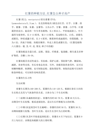 红薯的种植方法-红薯怎么种才高产