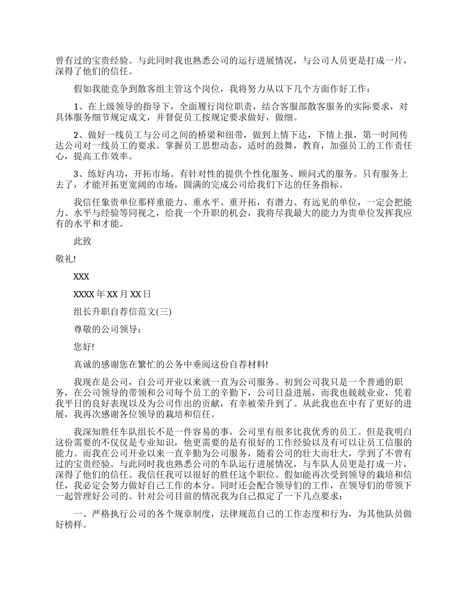 组长升职自荐信怎么写参考范文_第2页