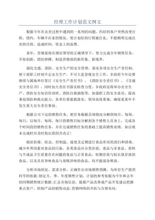 经理工作计划范文例文