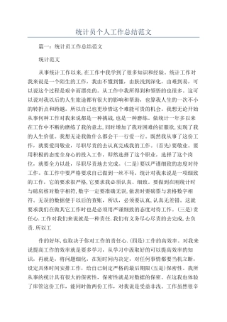 统计员个人工作总结范文