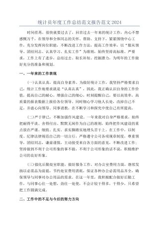统计员年度工作总结范文报告范文2024