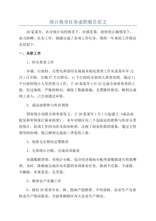 统计指导任务述职报告范文