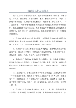 统计站工作总结范文