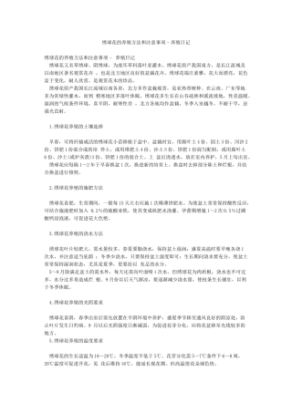 绣球花的养殖方法和注意事项–养殖日记