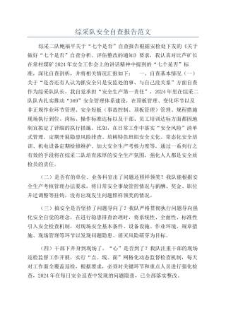 综采队安全自查报告范文