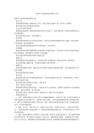 绿萝叶子发黄的原因及解决方法