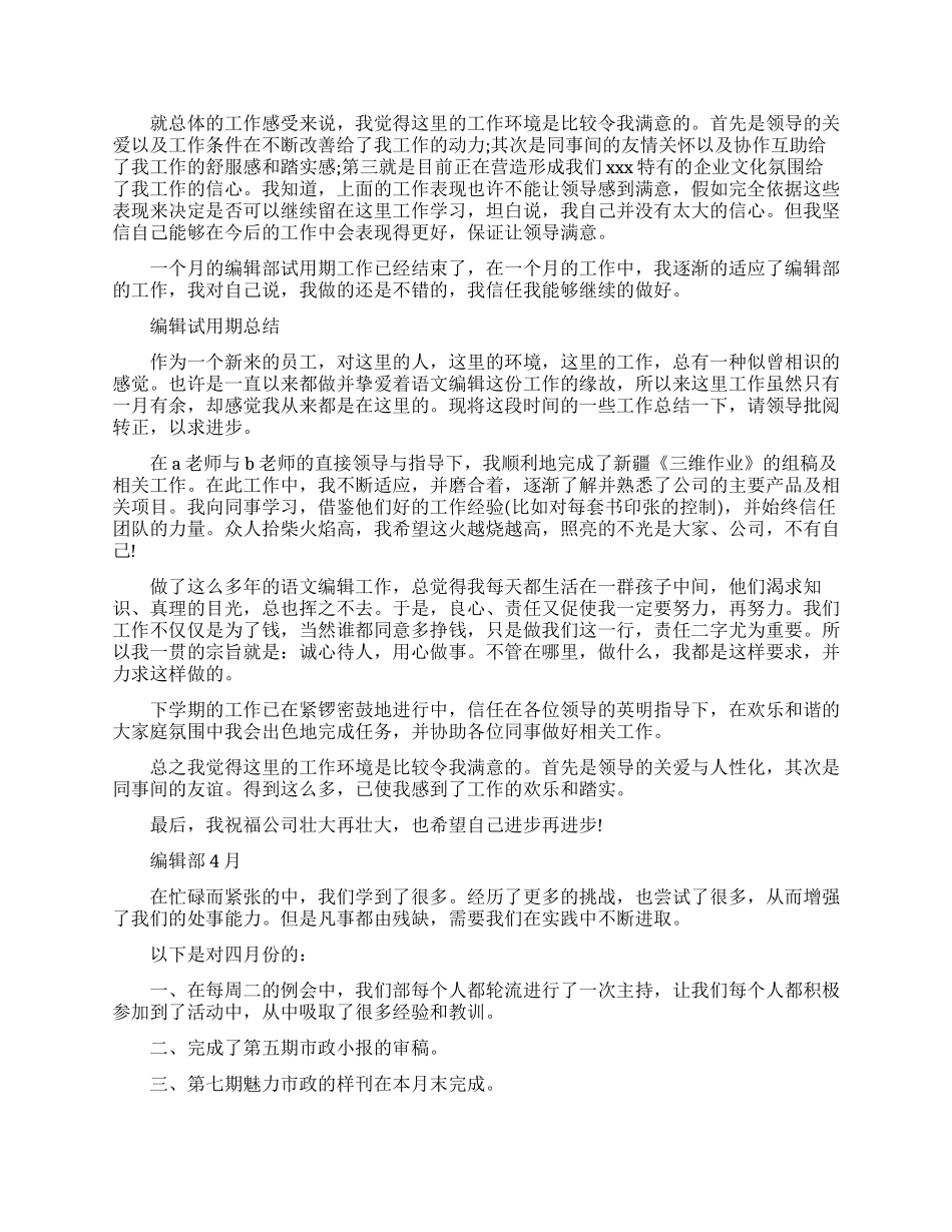 编辑试用期的工作总结范文_第2页