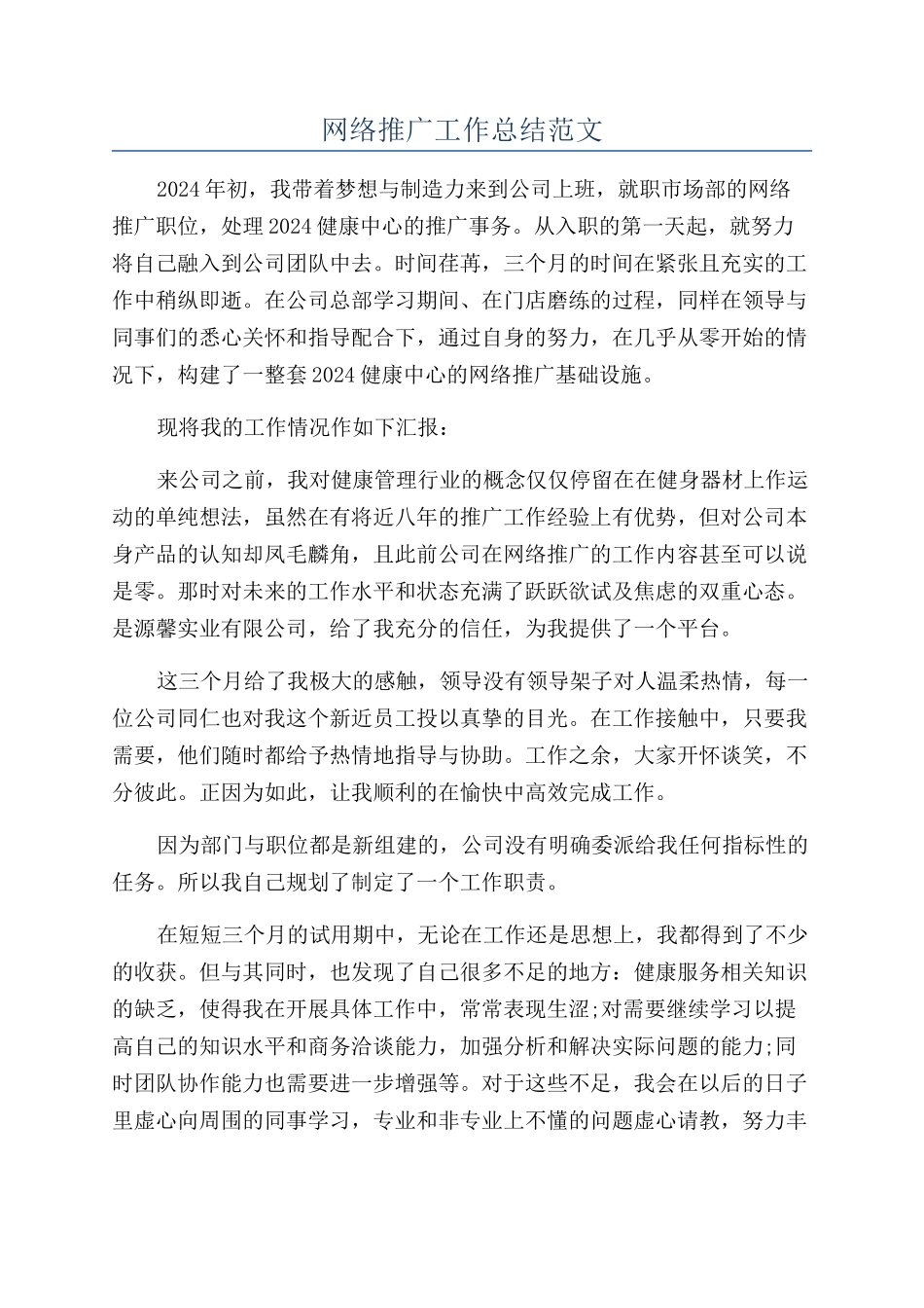 网络推广工作总结范文_第1页