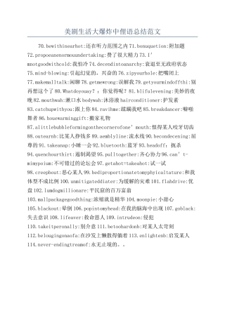 美剧生活大爆炸中俚语总结范文