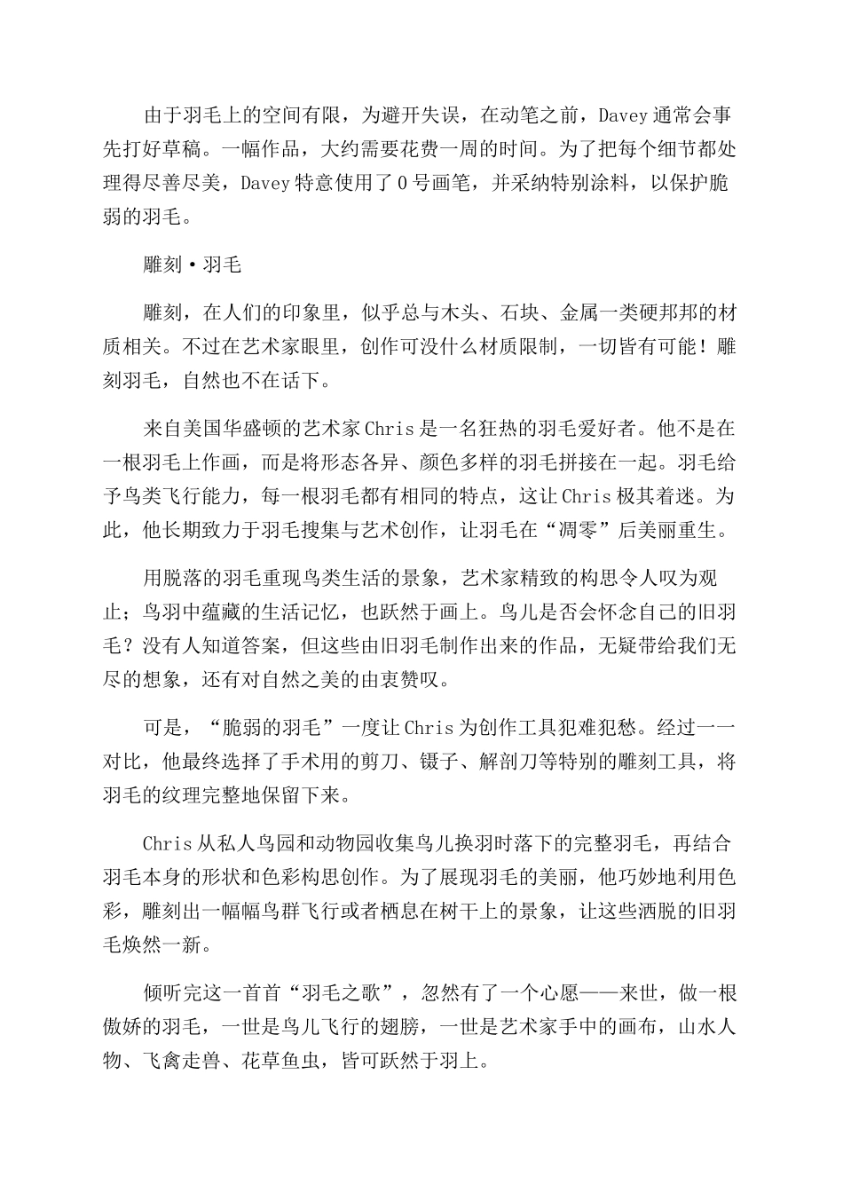 羽毛的歌-精品文档_第2页