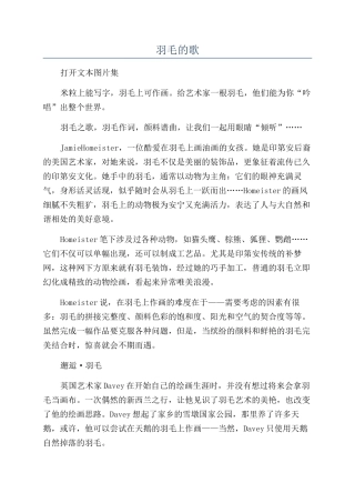 羽毛的歌-精品文档