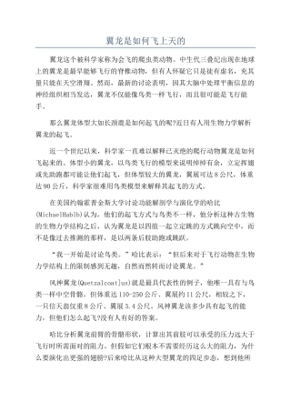 翼龙是如何飞上天的