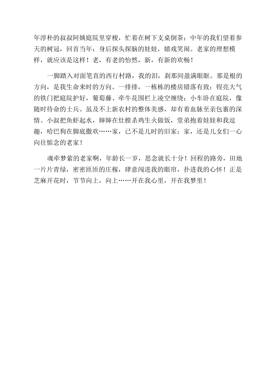 老家新梦-精品文档_第3页