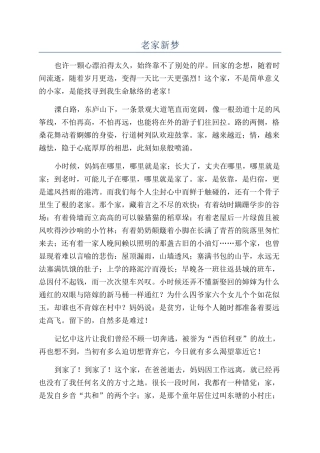 老家新梦-精品文档