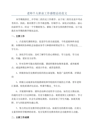 老师个人职业工作感想总结范文