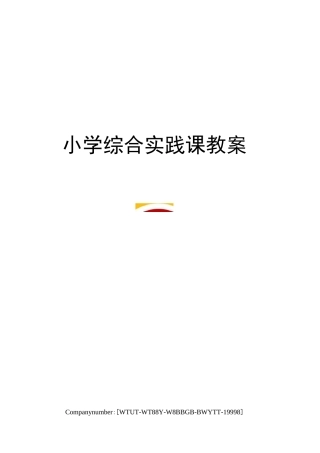 小学综合实践课教案