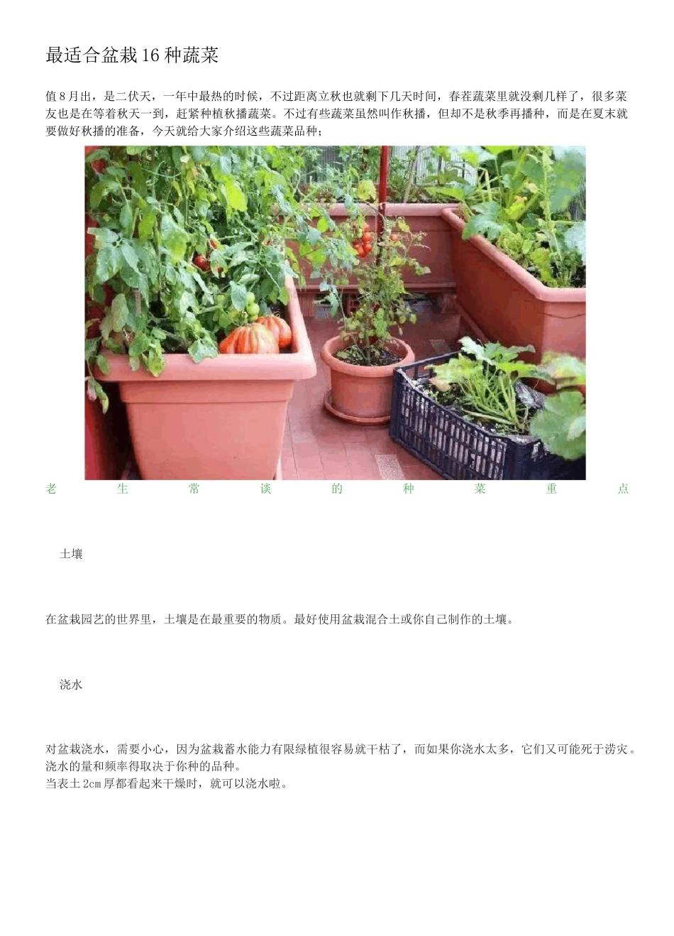 最适合盆栽16种蔬菜_第1页