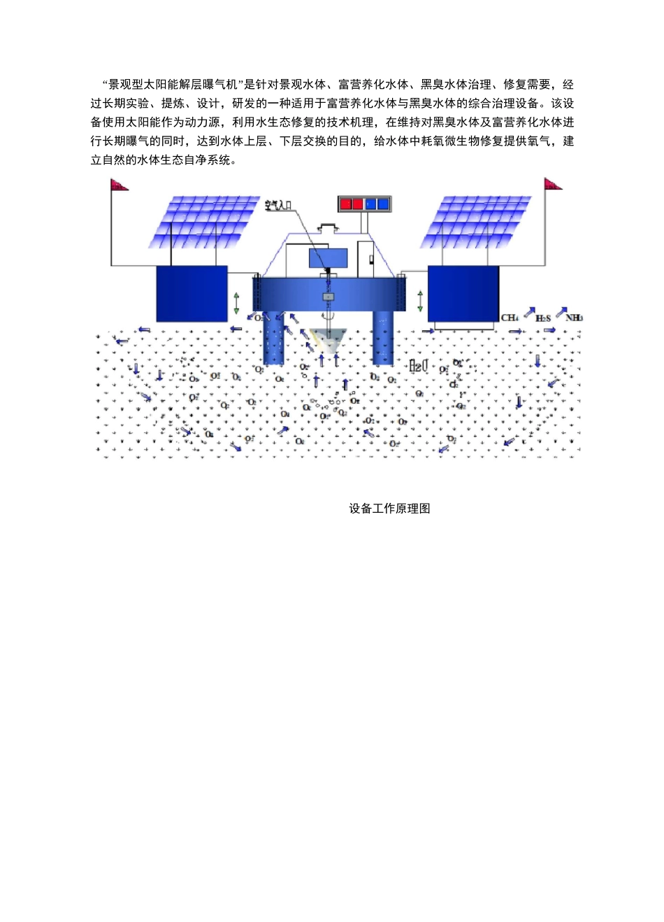 景观水体治理解决方案_第2页