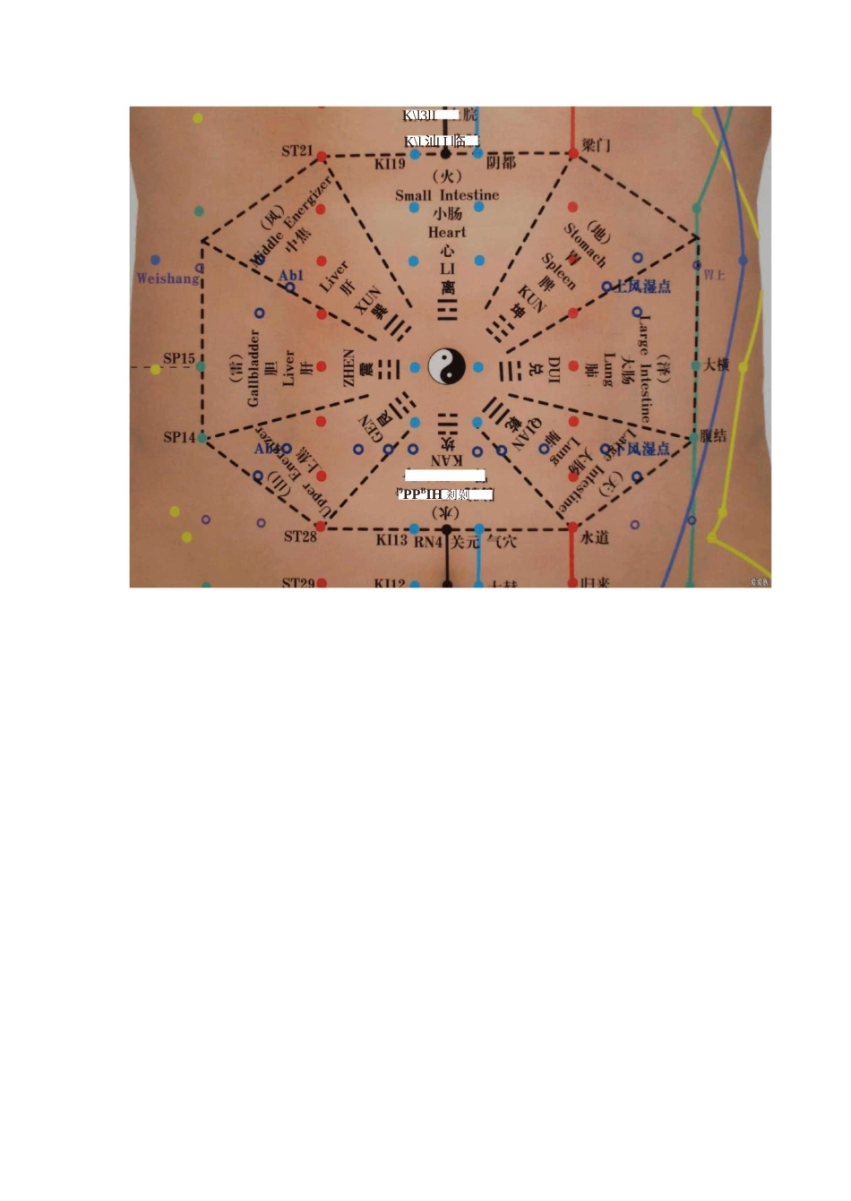 腹针神龟图._第3页