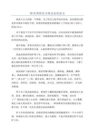 职员顶岗实习体会总结范文