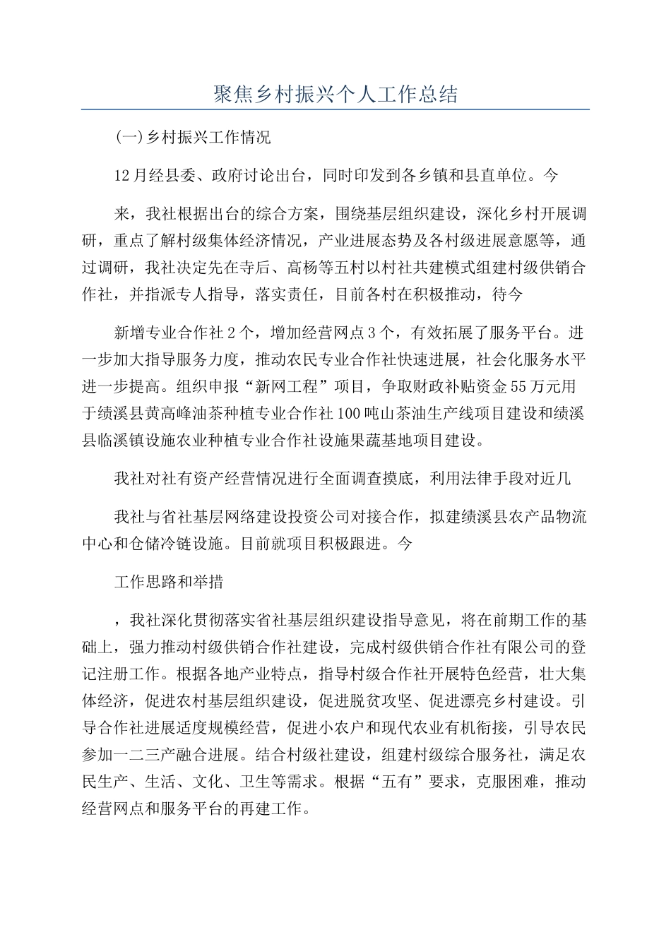 聚焦乡村振兴个人工作总结_第1页
