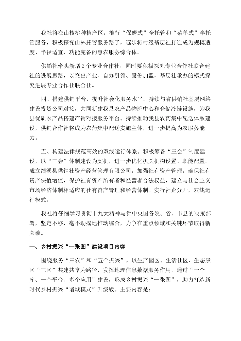 聚焦乡村振兴个人工作总结_第2页