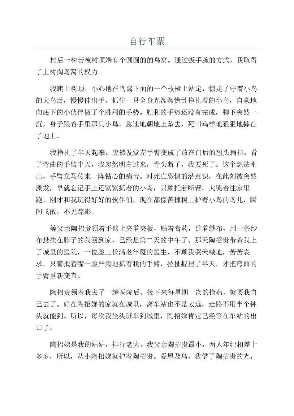 自行车票-精品文档_第1页