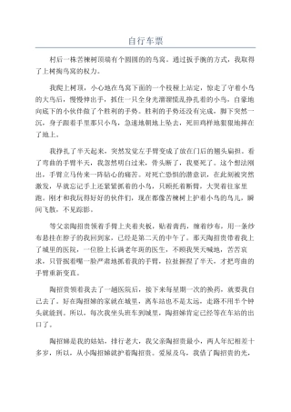 自行车票-精品文档