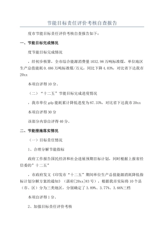 节能目标责任评价考核自查报告