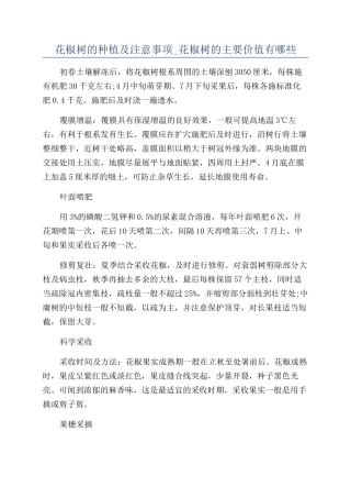 花椒树的种植及注意事项-花椒树的主要价值有哪些