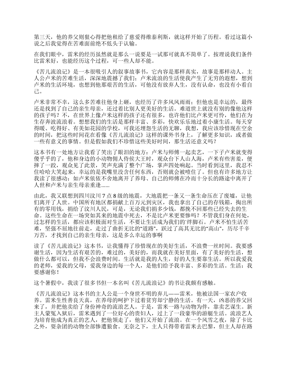苦儿流浪记优秀读后感_第3页
