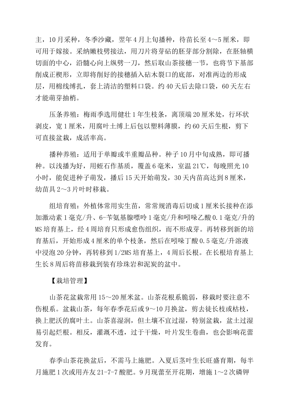 茶花的养殖注意事项_第3页