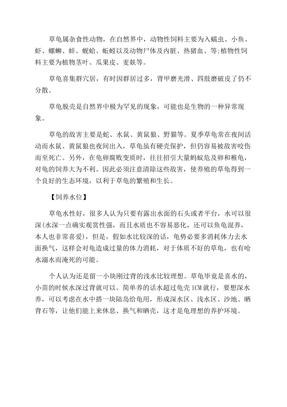 草龟放多少水养比较好_第3页