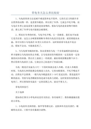 草龟冬天怎么养比较好