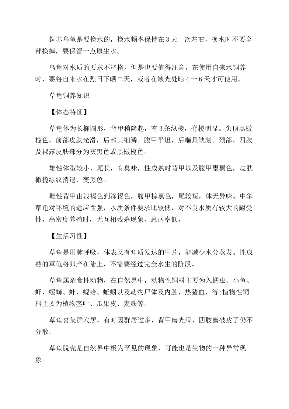 草龟喂养的方法有哪些_第2页