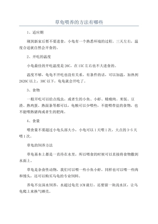 草龟喂养的方法有哪些