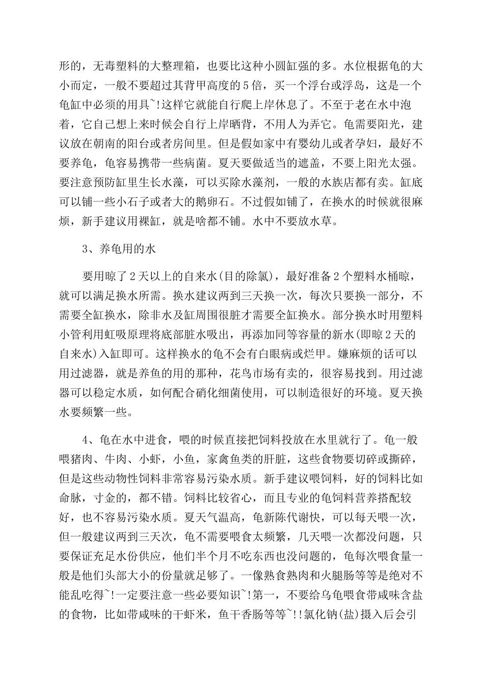 草龟饲养注意事项有哪些_第2页