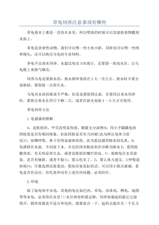 草龟饲养注意事项有哪些